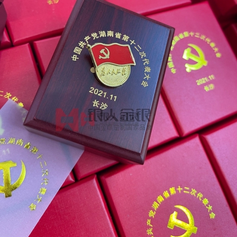 中共湖南省委獻(xiàn)計(jì)獻(xiàn)策活動紀(jì)念章