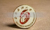 西南石油大學(xué)?；?學(xué)校?；? title=